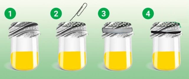 3 pièges à mouches des fruits efficaces à utiliser soi-même