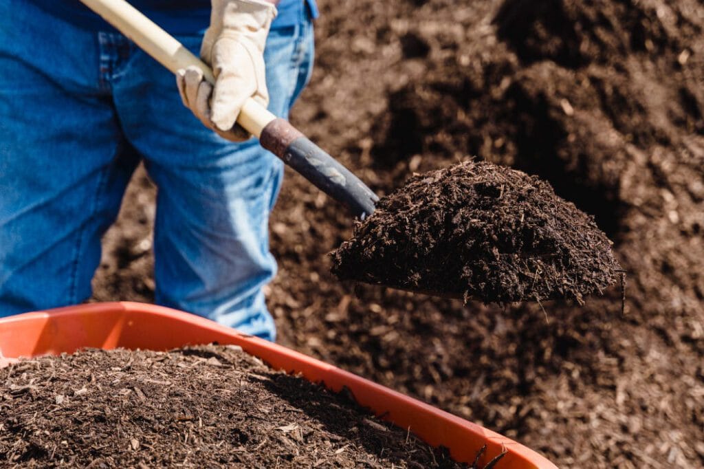 Ce que vous pouvez ajouter au compost en automne : conseils pour les jardiniers Ce que vous pouvez ajouter au compost en automne : conseils pour les jardiniers