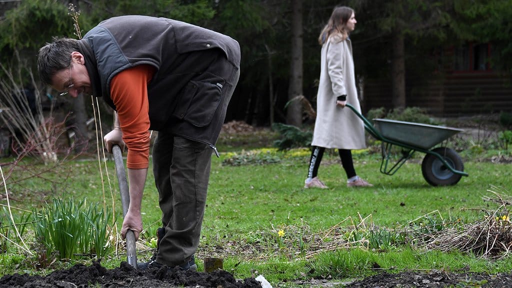 Pourquoi les jardiniers expérimentés préfèrent planter des fleurs en automne : les principaux avantages sont cités Pourquoi les jardiniers expérimentés préfèrent planter des fleurs en automne : les principaux avantages sont cités